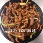 Best Crispy Szechuan Style Beef in Arlington, VA